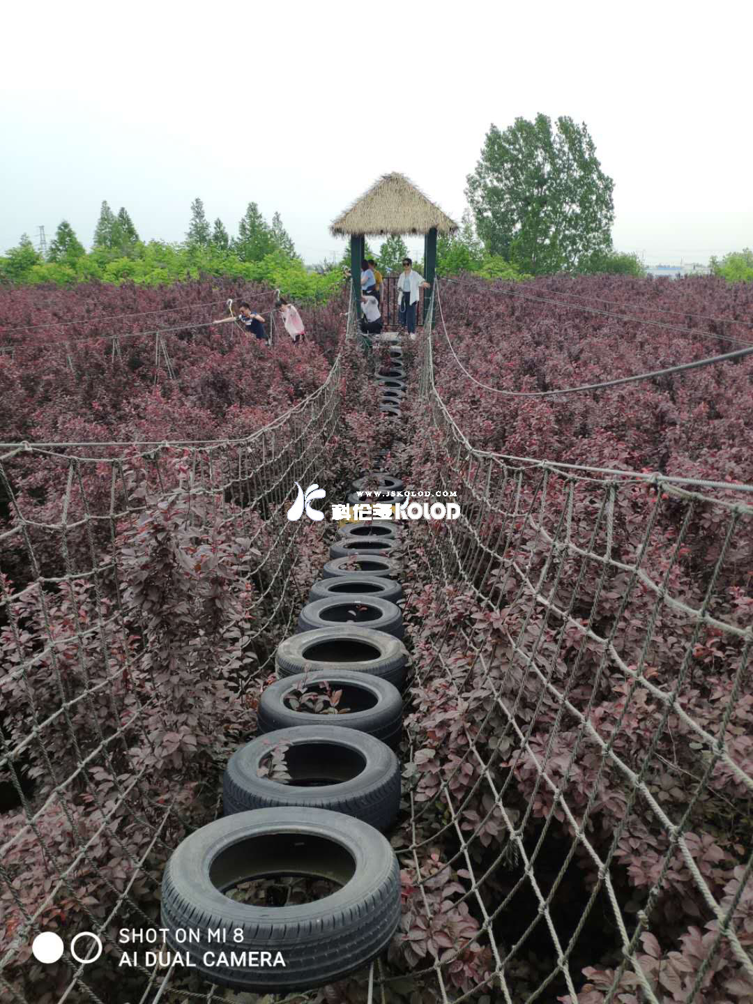 追求卓越團隊、鑄造優(yōu)秀團隊、共創(chuàng)企業(yè)輝煌 （江蘇科倫多赴兆隆林海灣叢林樂園開展團建活動）